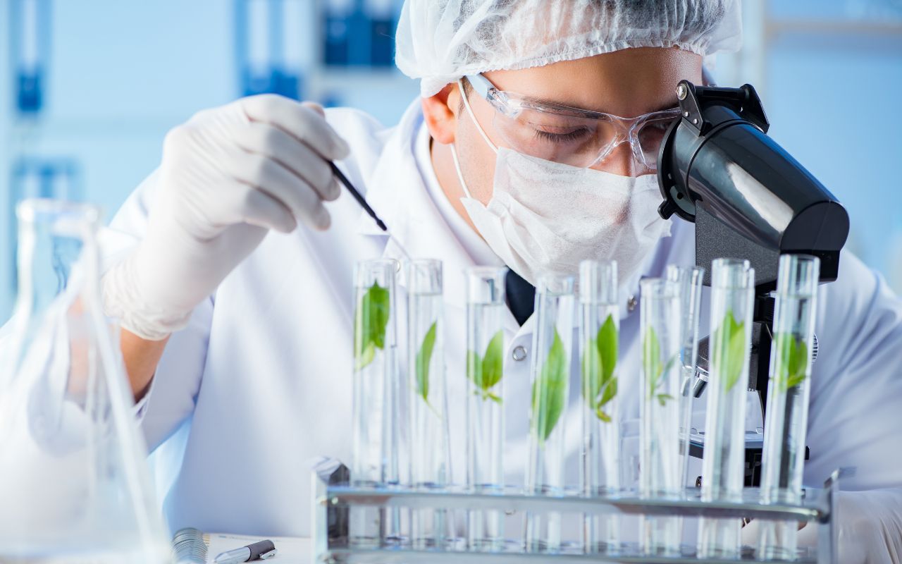 Type A2/B2 Biosafety Cabinet 5 Chemical Testing & Biotechnology